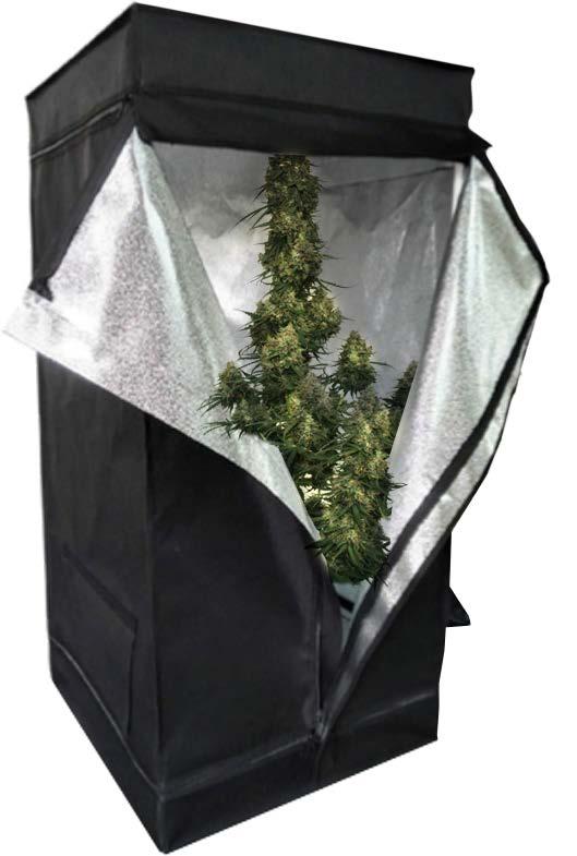 INDOOR CANNABIS GROW ROOMS AND TENTS Many indoor growers buy a purpose built grow tent online, or from their local hydro store or grow shop.