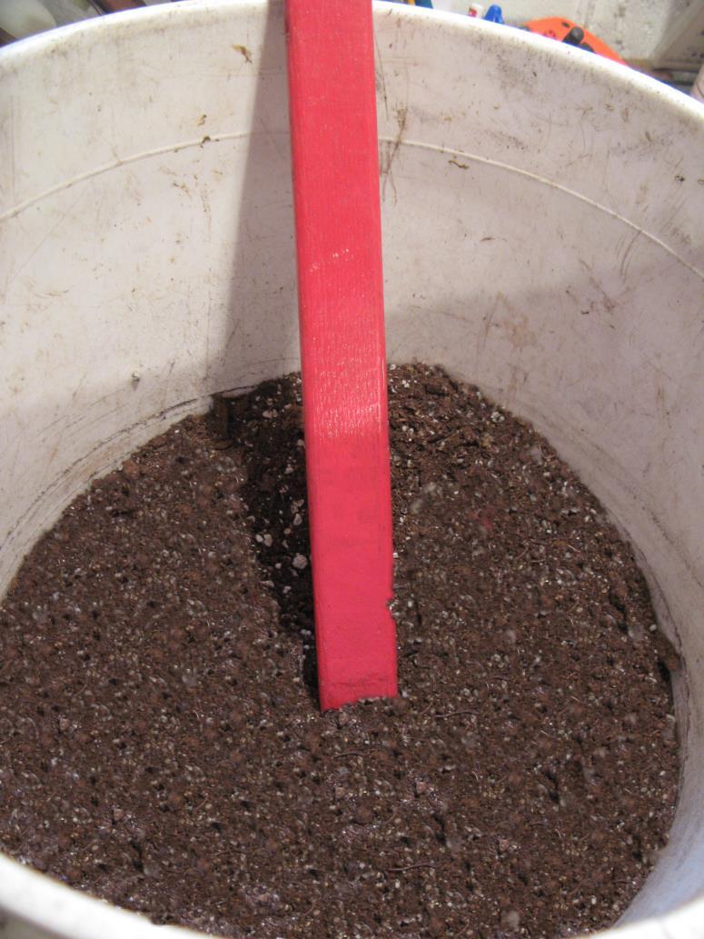 3:Starter Mix for Starting Seeds Indoors - Use a Clean Organic Starter Mix for Best Results - Helps to prevent damping off, which destroys stem at surface - Helps to Keep the Seeds Moist