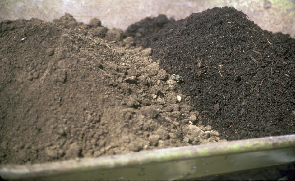 4: Soil For Transplanting To