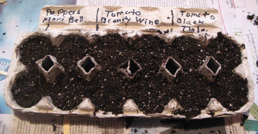 Starting Seeds Indoors Using Recycled Containers (Cont