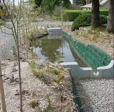 MINIMUM REQUIREMENT #2: Element #13, Protect LID BMPs Suggested bioretention and rain garden protection