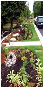 Bioretention Criteria not requiring justification, but possibly professional services Where not compatible with surrounding drainage system government decision Where facility would be in an area