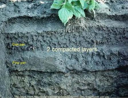 Compacted soil layers impede drainage, water flow,