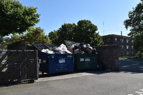 Dumpsters, and nearby storm drain: Have students consider the possibility of trash from the