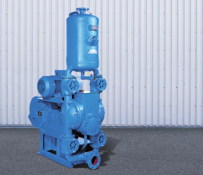 ABEL CM From the reciprocating positive displacement pump specialist Compact Diaphragm Pumps Piston