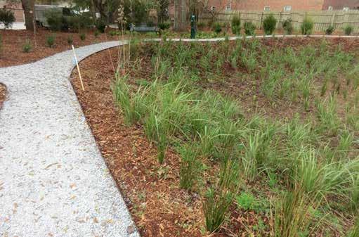 PERMEABLE SURFACES BIORETENTION Permeable surfaces include paving systems that allow rainwater to percolate into the ground underneath.