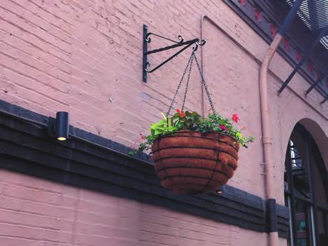 Consider installing hanging baskets or planters on light poles and/or buildings, as well as window boxes in storefronts to provide additional locations for annual flowers or seasonal color display.
