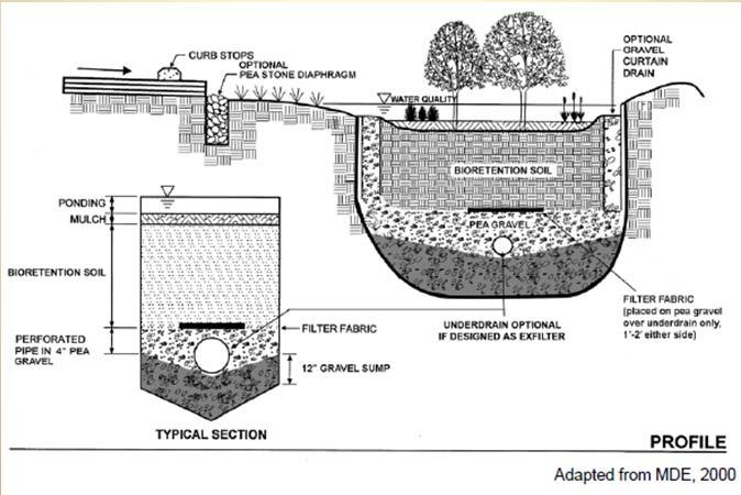 N35 Drain to grade (best) or stormwater system (OK) Underdrains can be placed