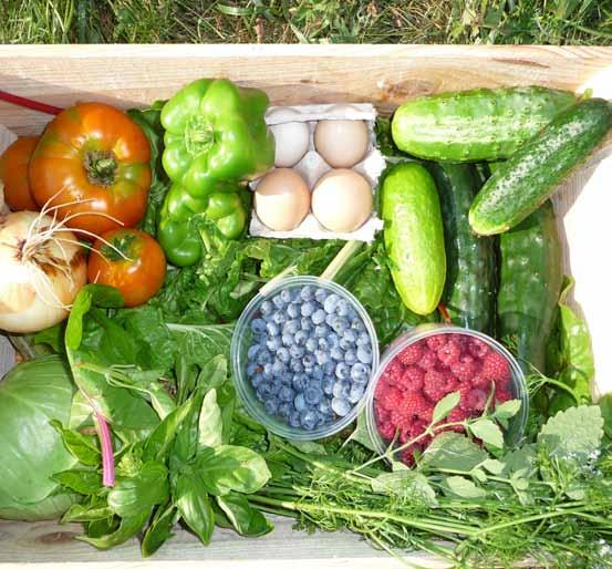 Mixed Produce, chickens,