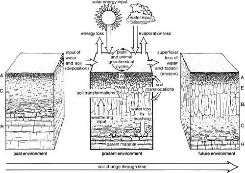 Ah Ae B C R Figure 1: The evolution of soil from past to future (adapted from University of Arizona, 2007). 3.