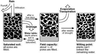 As the water from the largest pores is taken up, it becomes increasingly difficult and more energy-intensive for plants to uptake water and dissolved nutrients.