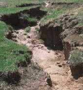 Sheet erosion does not carry sufficient volume or velocity to dislodge soil particles on its own; however, it can carry large quantities of particles that have been detached from their aggregates by