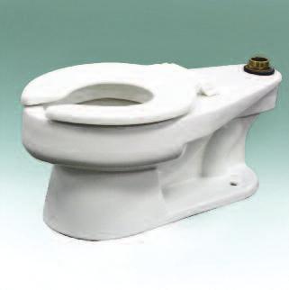 lever for single flush. Dual-flush toilets have a button on top of the tank.