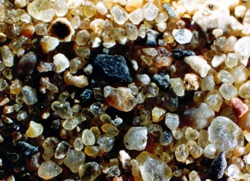 Sand Largest soil mineral particles (.