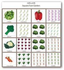 Draw out a plan for your garden!