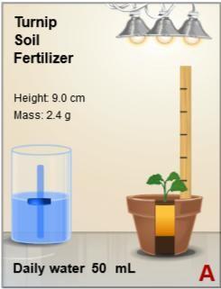 Student Exploration: Growing Plants Directions: Go to our class website. Under Unit 3 materials, click on the link for Growing Plants Virtual Lab.