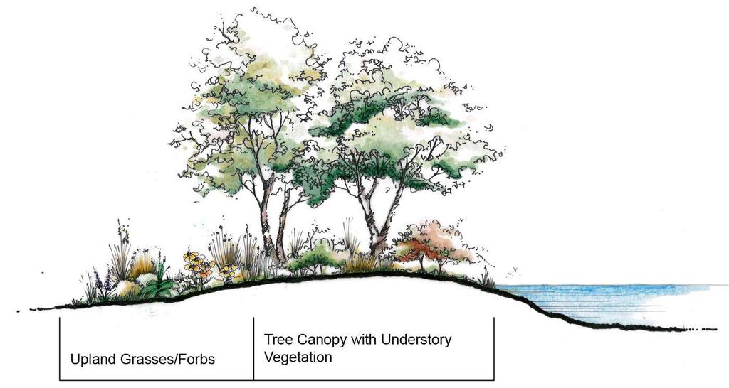 Conservation and Restoration Habitat Type Treatments Approx.