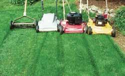 5 Practice natural lawn care It s easy to put all these steps to work on your lawn, where you often use the most pesticides, fertilizer, and water, produce the most waste, and work