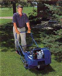 service to aerate for you. Consider not using weed and feed or other pesticide or herbicide Accept a few weeds. Crowd out problem weeds by growing a dense, healthy lawn.