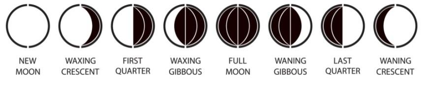 For instance, the moon will be blank during a new moon and dark during a full moon. This is how this product is designed to best view the on the display, what you will see in the sky.