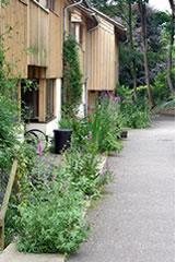Figure 1 Figure 2 Stroud Cohousing required a sustainable drainage system that would complement the green credentials and modern style of the