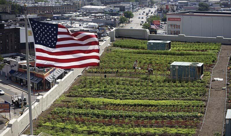 architecture research: - problem - benefits urban farming Public