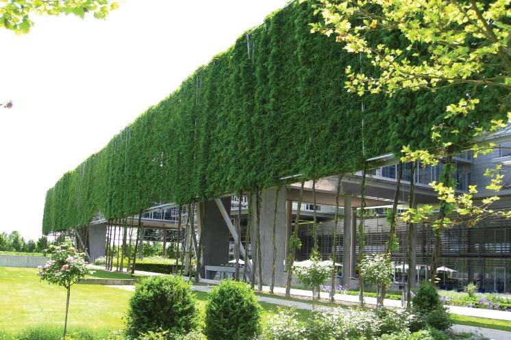 green wall for sun protection 2