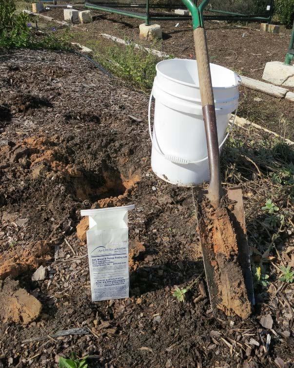 Soil Testing First step in preparing for planting Identifies problems /