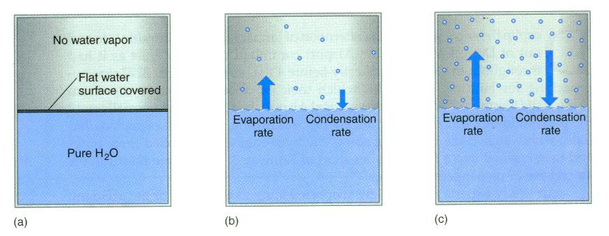Water Vapor In the Air Saturation (from Understanding Weather & Climate) Evaporation: the process whereby molecules break free