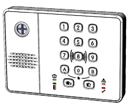 Introduction This manual describes how to use your wireless keypad.