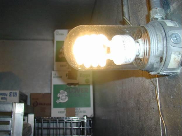 In the walk-in refrigerator: Low-temp CFLs for