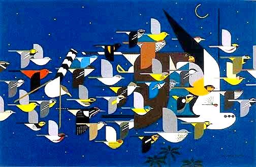 Birds migrate at Night National