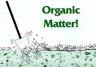 Soil Management Soil organic matter Sources: Crop