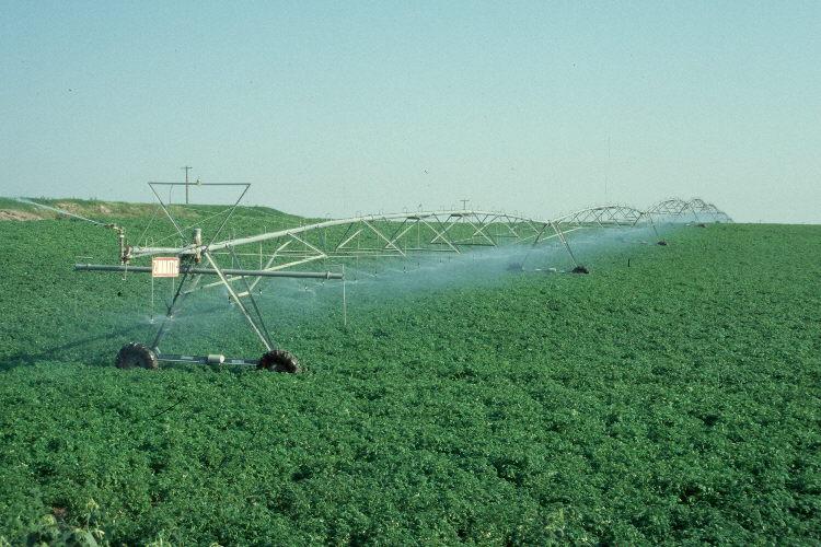 Irrigation Types of irrigation equipment: Surface or flood Sprinkler hand