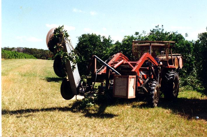 reduce or manipulate flowering or crop load; reduce tree height or width; improve spray coverage.