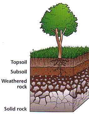 How Does Soil Form?