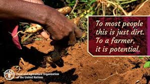 Soil Is Not Just Dirt When you