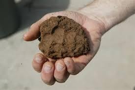 Types of Soil Particles of rock that are even smaller than silt are