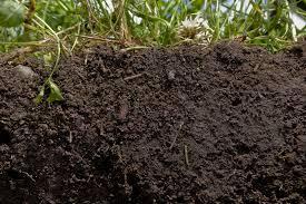 Soil Is Not Just Dirt Humus is a rich mixture of the
