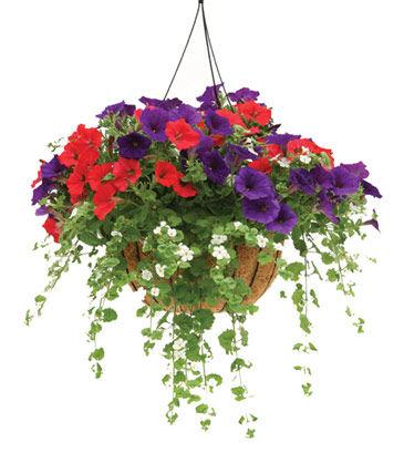 DELUXE COMBO BASKETS 18 Heavy Iron Basket with Peat Liner and Hanging Chain *These photos are just example of combo pots.