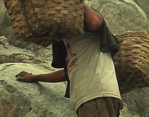 Conflict Minerals Gentex operates with a formal Conflict Minerals Policy.