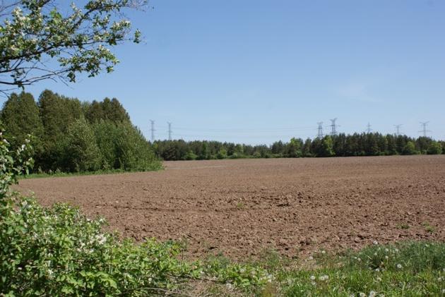 ploughed area showing