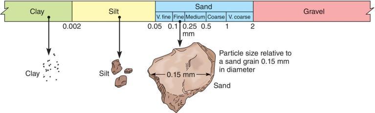 Soil Properties Soil Texture Relative proportion of sand, silt and clay Sand: 2mm 0.05mm Silt: 0.05mm 0.002mm Clay: >0.