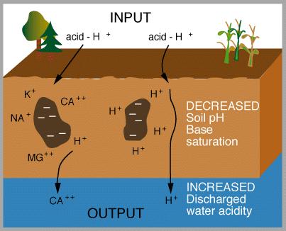 Soil Properties Soil Acidity Acid precipitation (primarily from industrial emissions) Sulfuric and nitric acids Alters soils, need to add calcium to reverse Major Soil Groups Variations in soil
