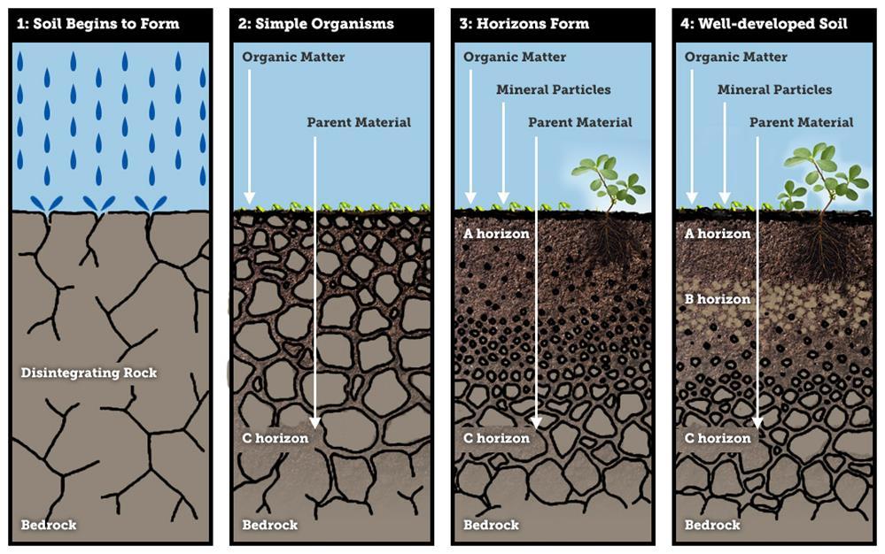 Soil - Climate Climate refers to long term pattern of rainfall and temperature.