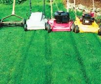 Electric and gas mulching mowers (center) blow chopped clippings down to the soil, leaving a clean lawn. Use natural organic or slow release fertilizers.
