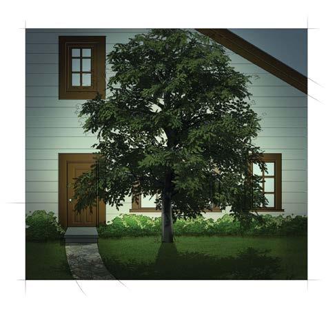 CREATING THIS EFFECT : A spot light is aimed at the tree in the foreground while the front of the home remains relatively dark.