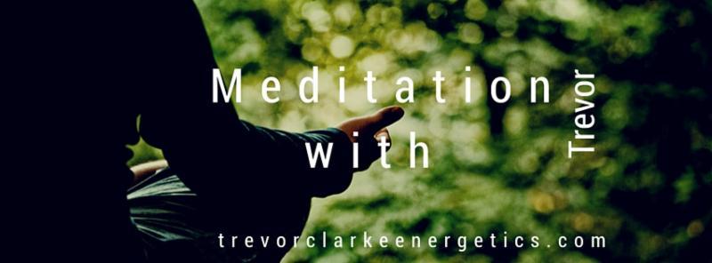 I'm really happy to announce that the weekly meditation at Hunting Brook Gardens will start again on the 3rd of February and is is on every