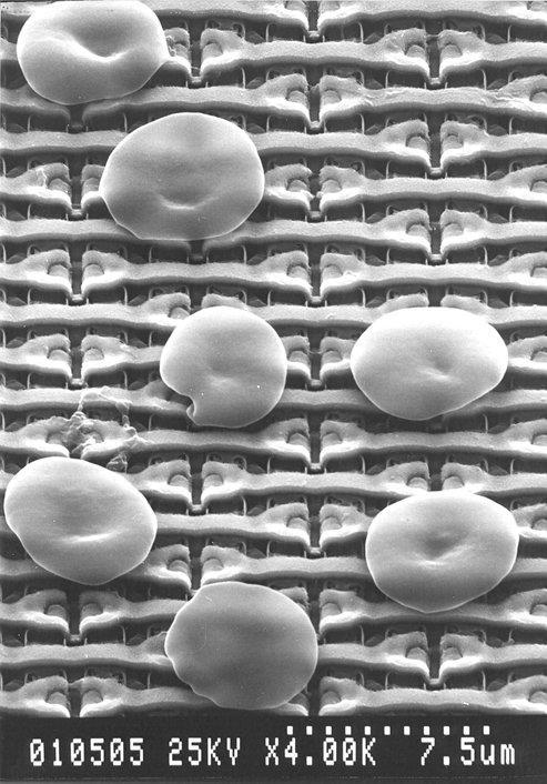 Memory Array Red blood cells on a 1 Mbit