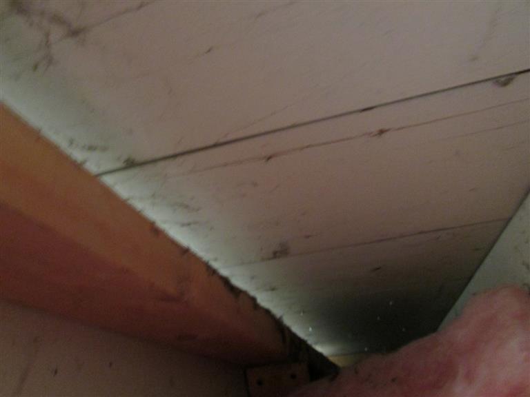 drywall stops short of roof sheathing 12.